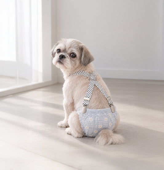 Senior dog wearing adjustable dog diaper suspenders in Polka Dot White for secure diaper support