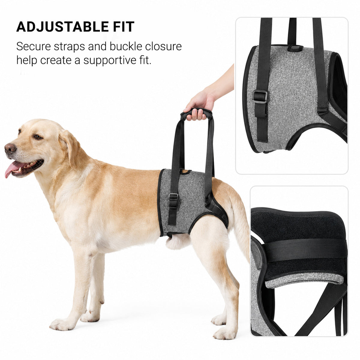 Adjustable GentleLift dog lift harness for rear leg and hindquarter support