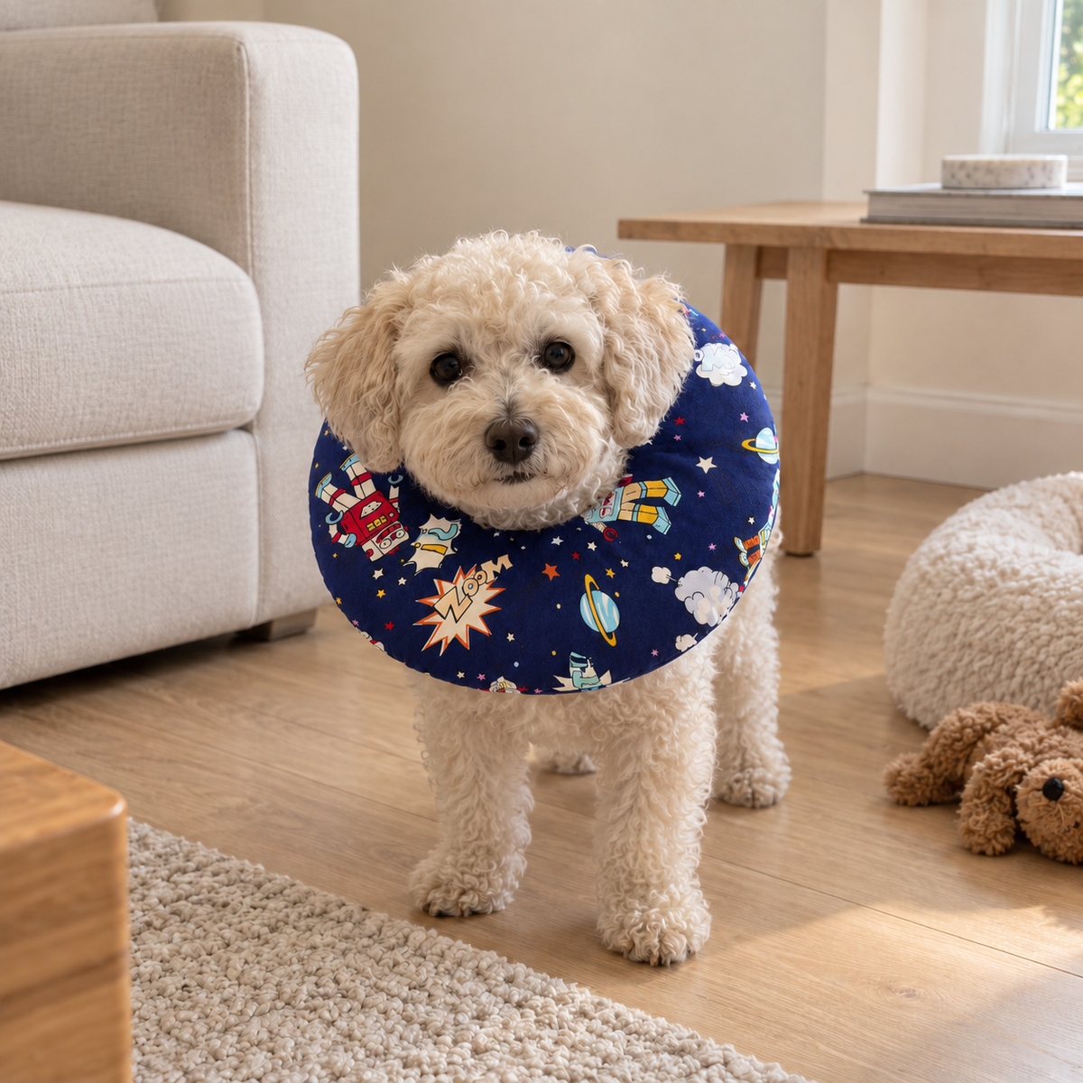 Dog wearing an adjustable soft recovery donut collar at home