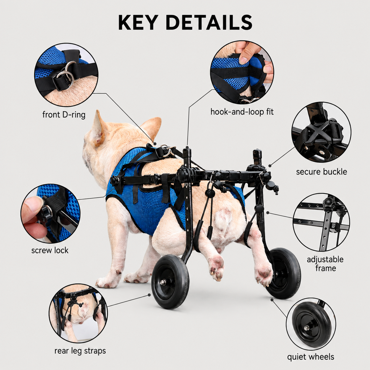 BarkTango dog wheelchair adjustable frame and support features