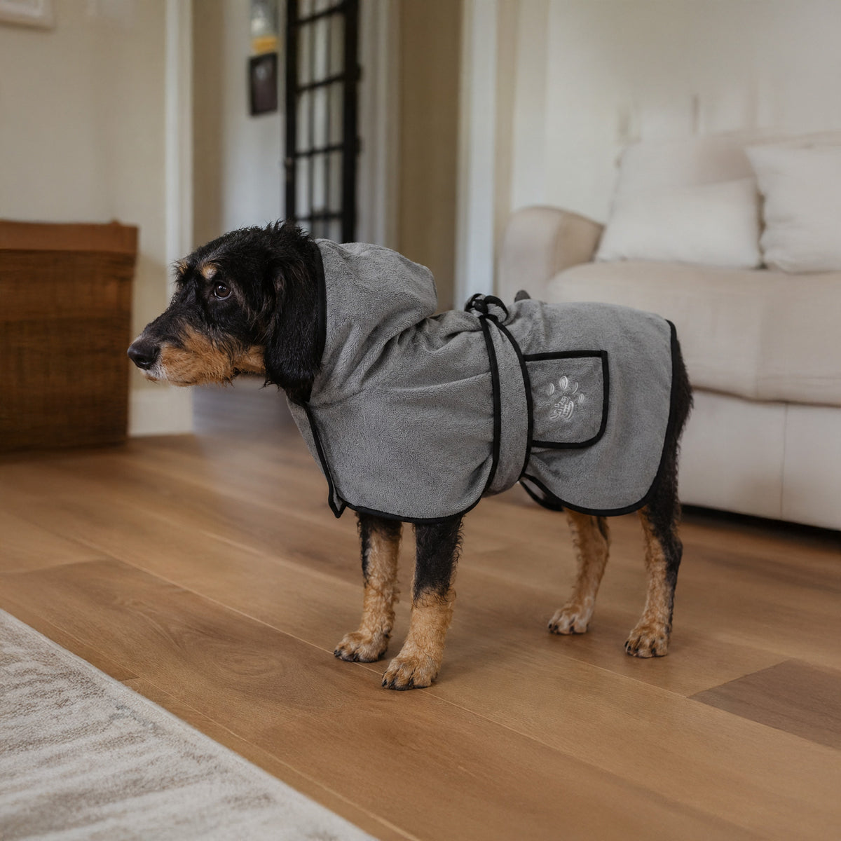 Dog wearing the CozyDry absorbent drying robe in a natural home lifestyle setting