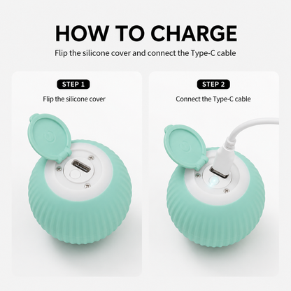 Smart Interactive Rolling Ball how-to-use guide for touch-activated pet play