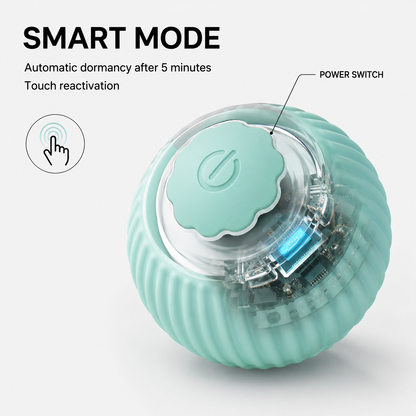 Smart Interactive Rolling Ball showing two play modes for rolling and bouncing motion