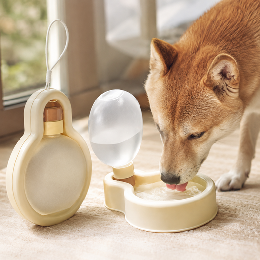 Dog drinking from the TrailSip portable water bottle and fold-out bowl in a warm indoor lifestyle setting