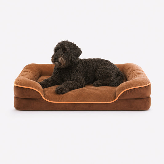 Brown Cloud Support orthopedic dog bed for comfortable everyday rest