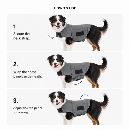 CalmWrap dog jacket fit guide for selecting the right size