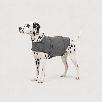 CalmWrap Heather Gray comfort dog jacket for a secure wraparound fit