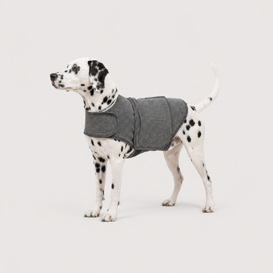 CalmWrap Heather Gray comfort dog jacket for a secure wraparound fit