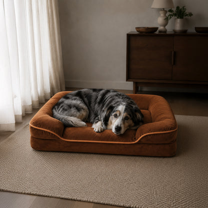 Cloud Support supportive dog bed in an everyday home lifestyle setting