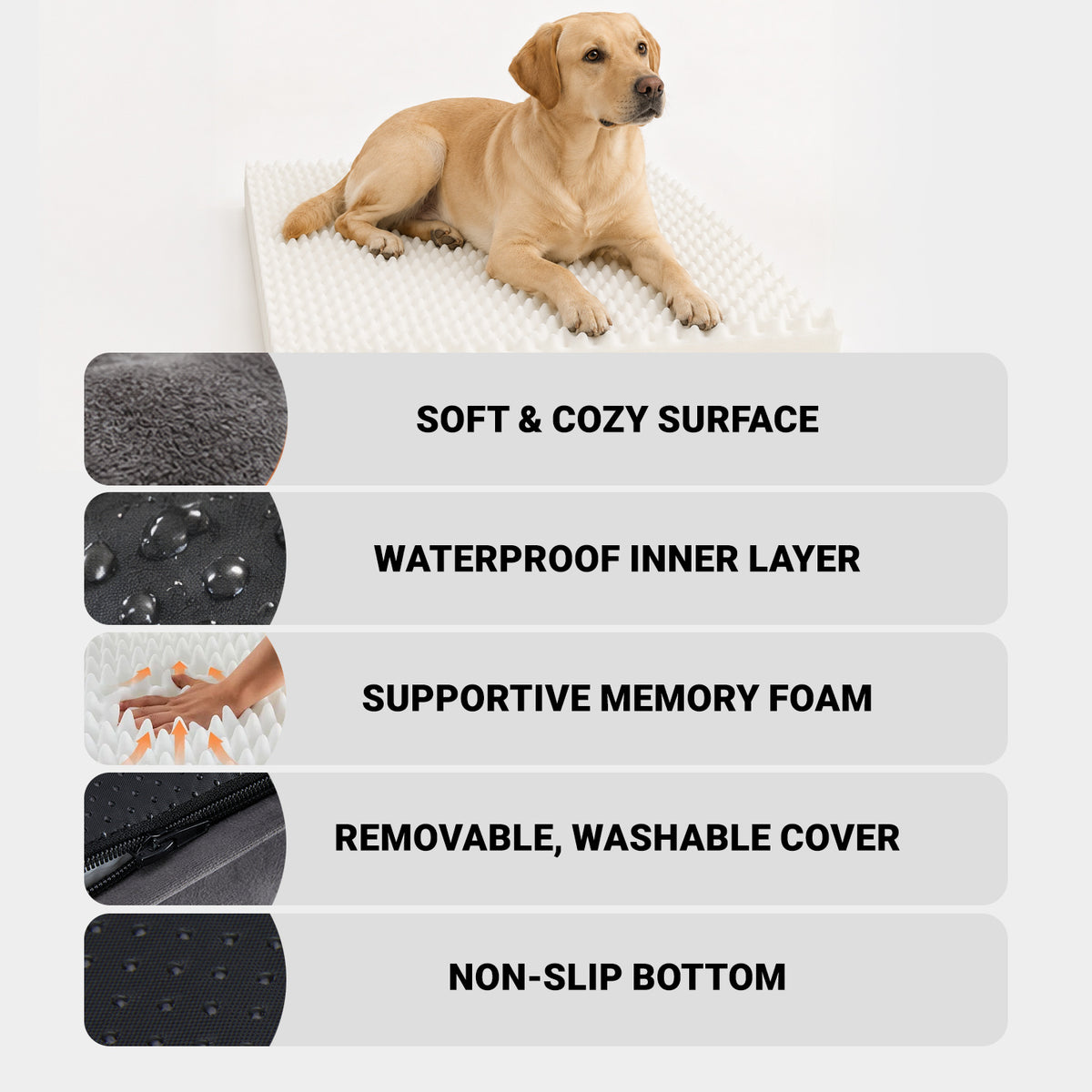 Cloud Support orthopedic dog bed detail showing supportive cushioned construction