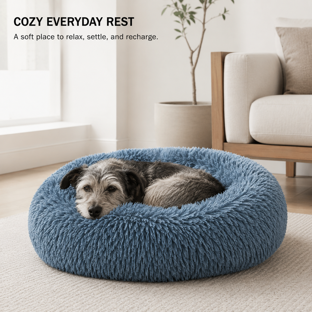 CloudNest round dog bed plush raised edge detail for curled sleeping comfort