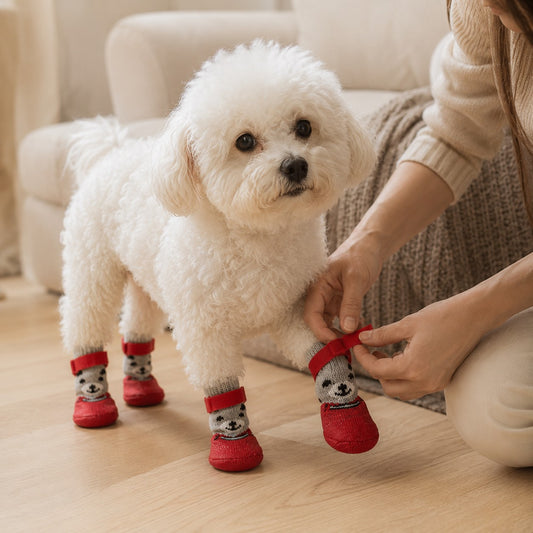 CozyGrip black knit dog boots shown on a wet surface with protective rubber soles