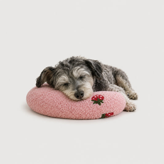 Senior dog resting comfortably on a low-profile CozyRest U-shaped headrest pillow