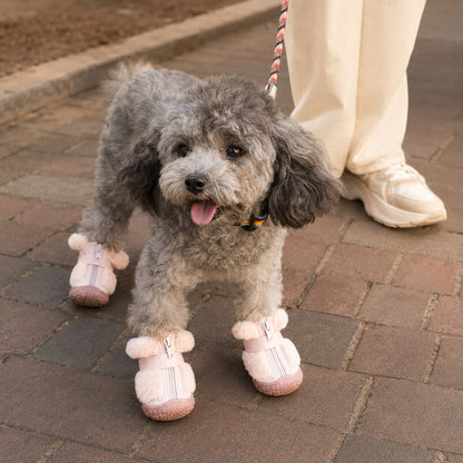 Small gray poodle wearing pink CozyStep winter dog boots on an outdoor walk