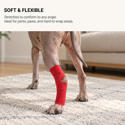 Dog hind leg wrapped with self-adhering cohesive bandage while leaving the heel area open