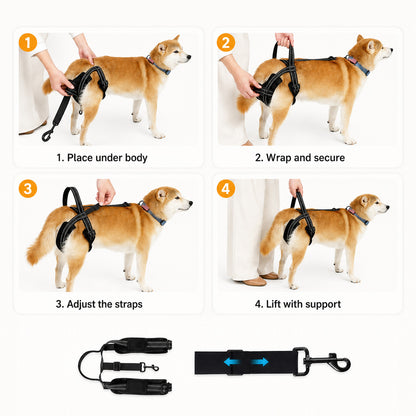 Dog using the LiftAssist rear support sling for assistance while climbing stairs