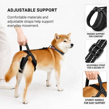 Adjustable LiftAssist rear leg support sling showing the secure fit around a dog's hindquarters