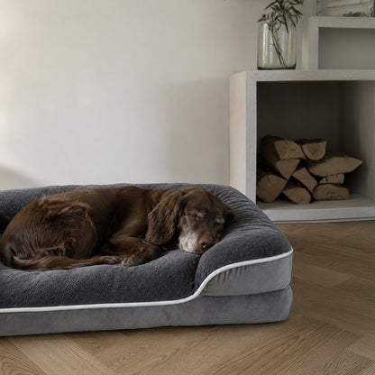 Dog resting on Cloud Support orthopedic dog bed in a cozy home setting