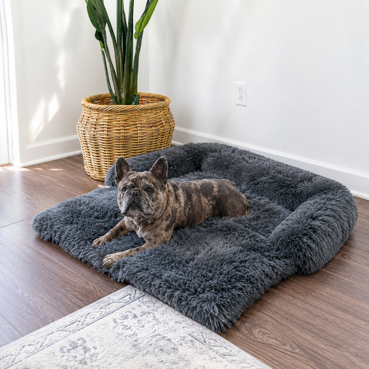 Dog resting on a grey CloudNest plush bolster lounger at home