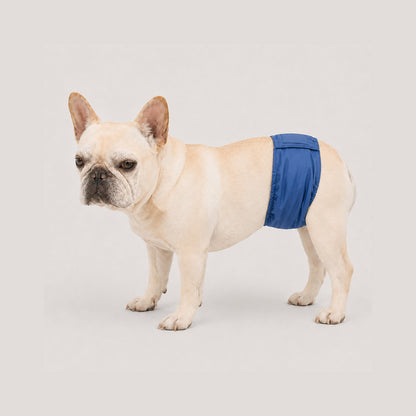 DryGuard washable male dog belly band with adjustable waist fit for indoor marking and occasional leaks
