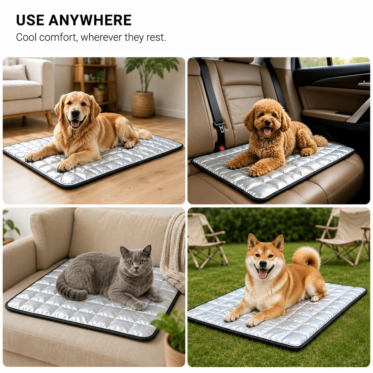 DryNest washable pet pad shown at home in the car on a sofa and outdoors