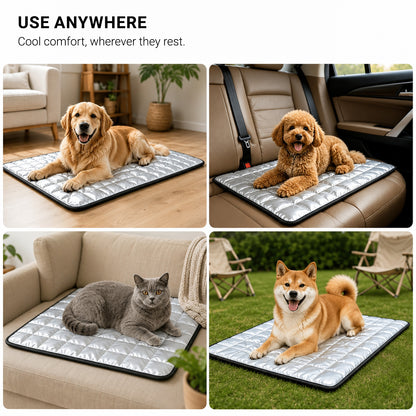 DryNest washable pet pad shown at home in the car on a sofa and outdoors