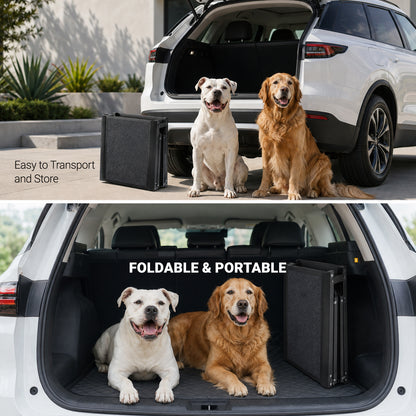 EasyClimb dog ramp safety rope and buckle detail for secure vehicle use