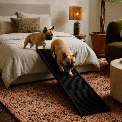 EasyClimb portable folding dog ramp with a textured non-slip surface