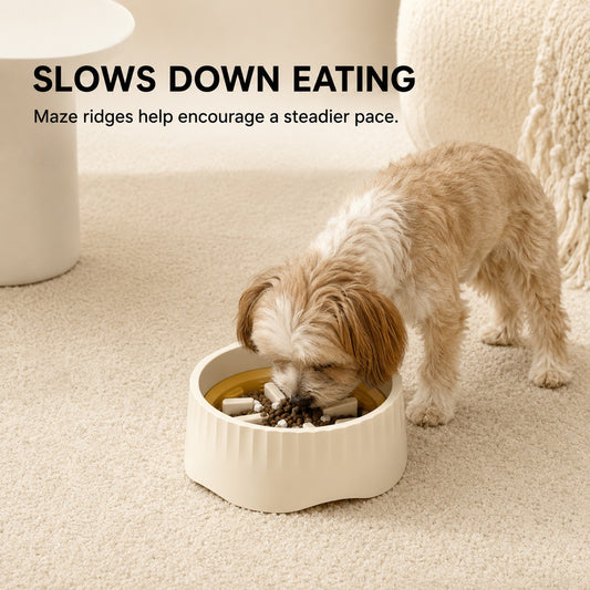 Dog eating from FlexFeed slow feeder bowl designed to encourage a steadier eating pace