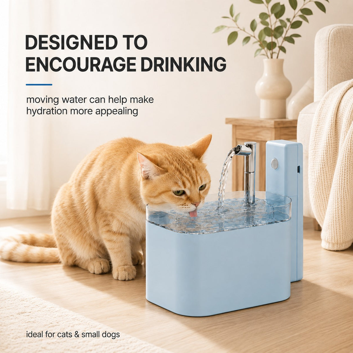 Cat drinking from FreshFlow wireless pet water fountain in a warm home