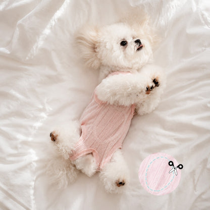 Small dog wearing the pink GentleGuard recovery suit with cut-to-fit belly area