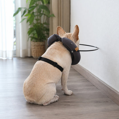 Rear view of a blind dog wearing the GentleGuide halo harness with adjustable body strap