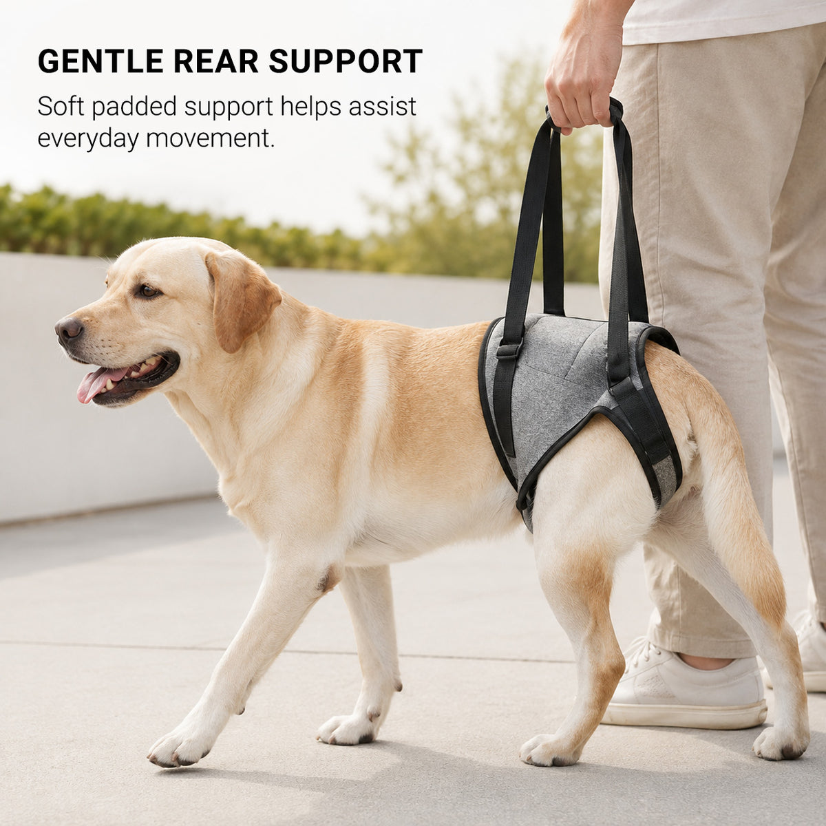 GentleLift rear support dog harness with soft padded support for comfortable lifting