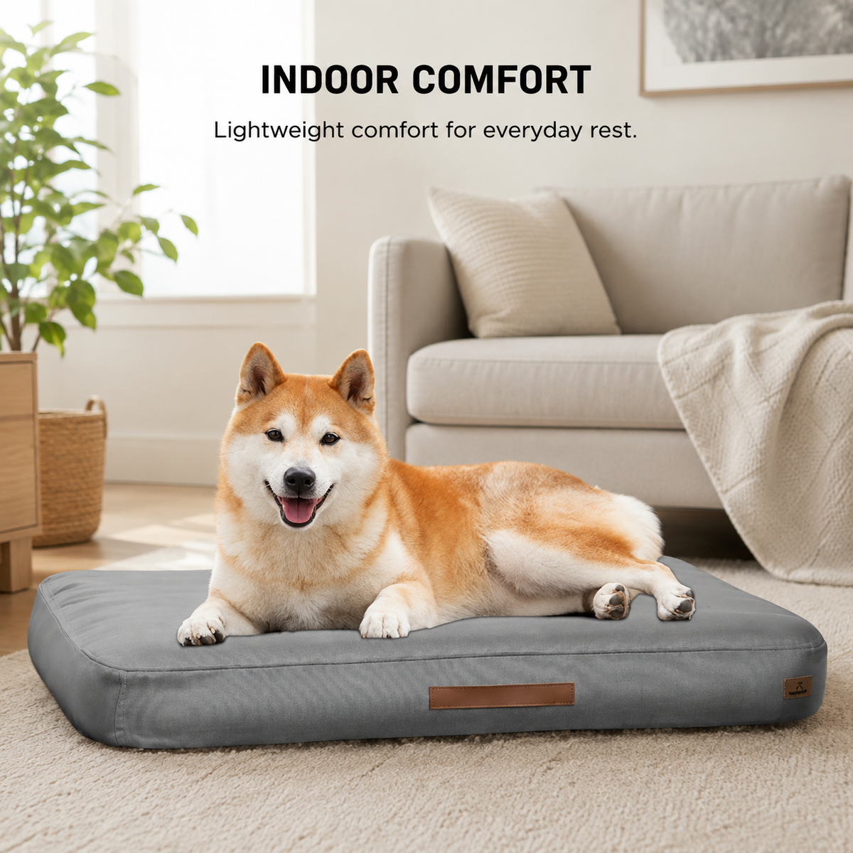 Dog relaxing on portable inflatable bed indoors