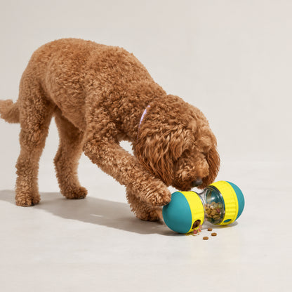 Interactive treat puzzle ball used during indoor dog enrichment playtime