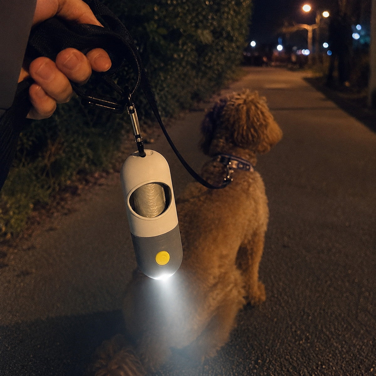 LED dog waste bag dispenser lighting the path during a nighttime dog walk