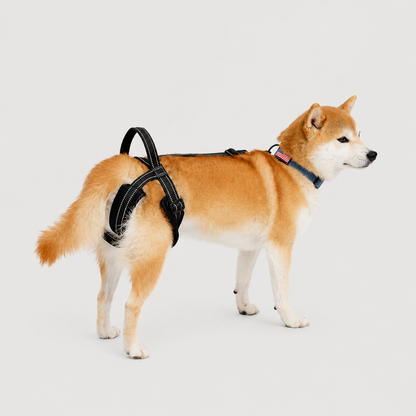 LiftAssist reflective rear support sling for helping dogs stand, walk, and move more comfortably