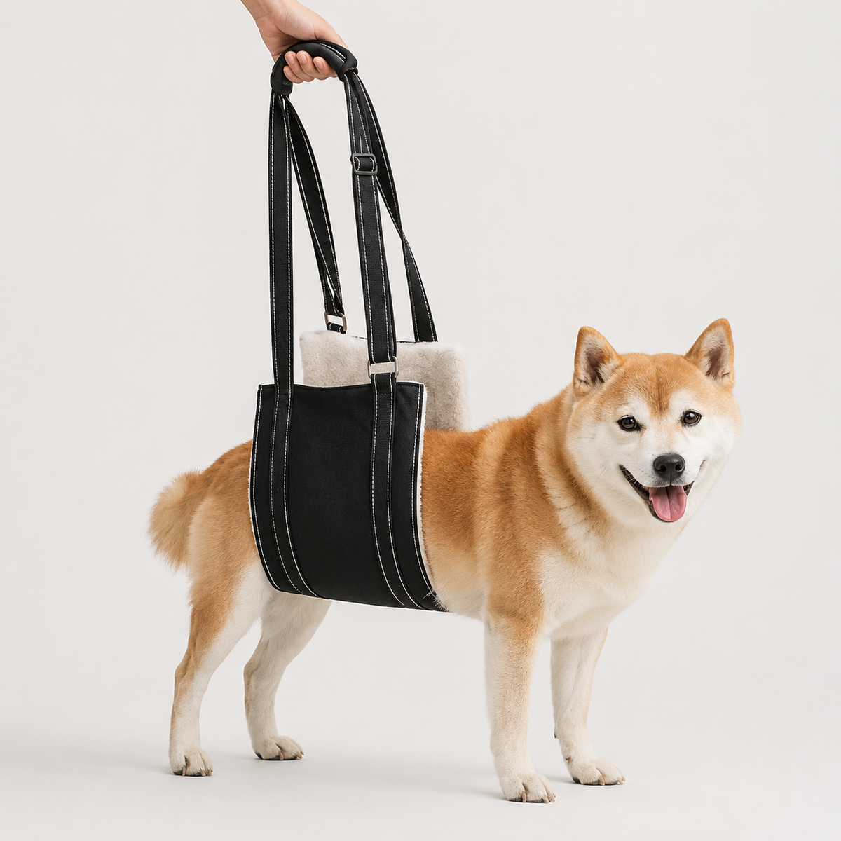 LiftEase black dog support sling with adjustable straps
