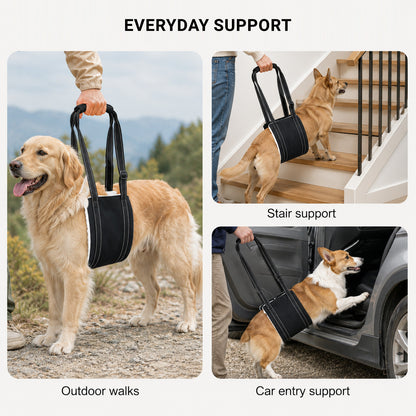 LiftEase dog mobility support sling for everyday assistance