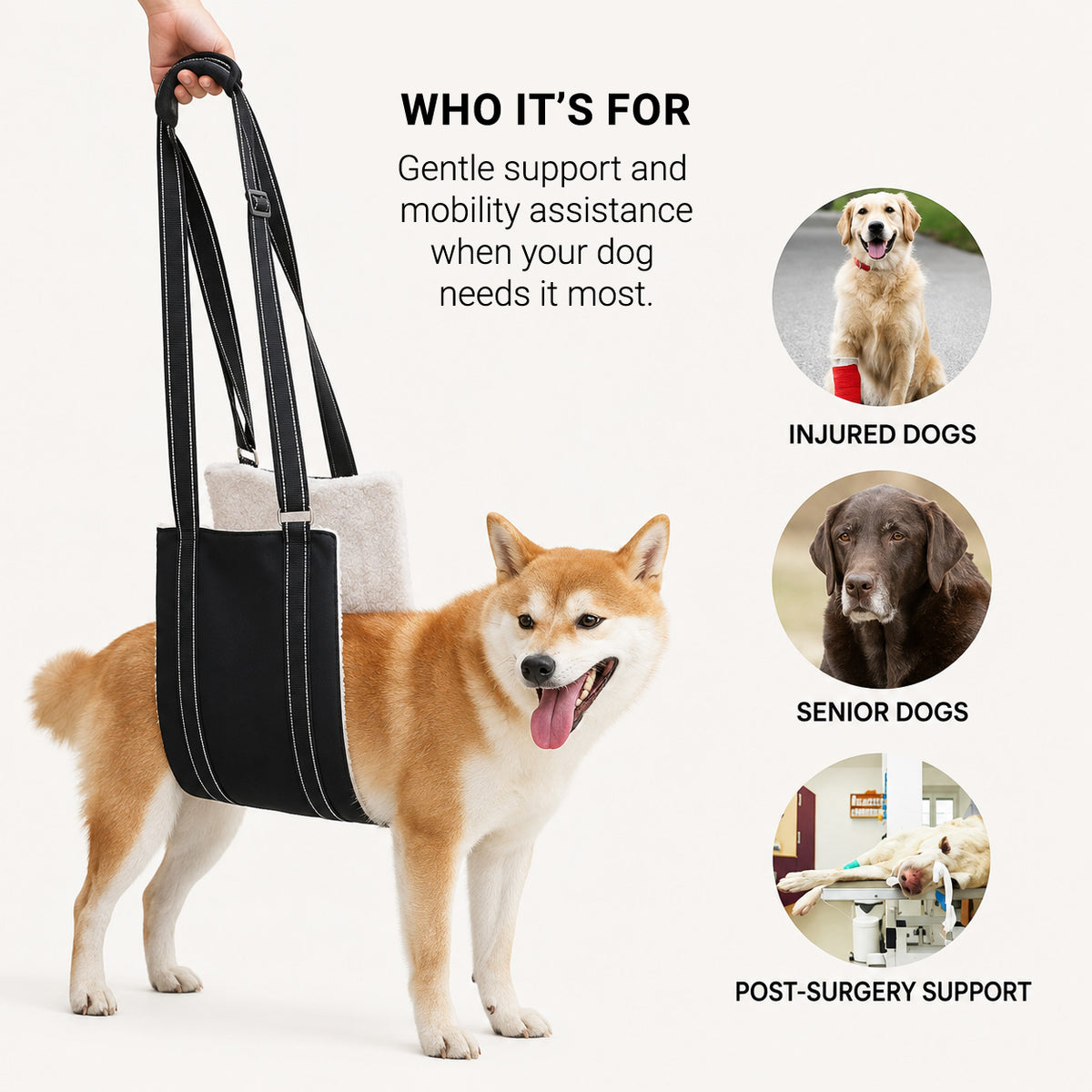 LiftEase support sling for senior and recovering dogs