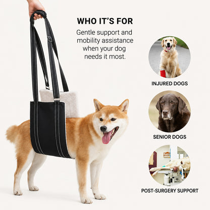 LiftEase support sling for senior and recovering dogs