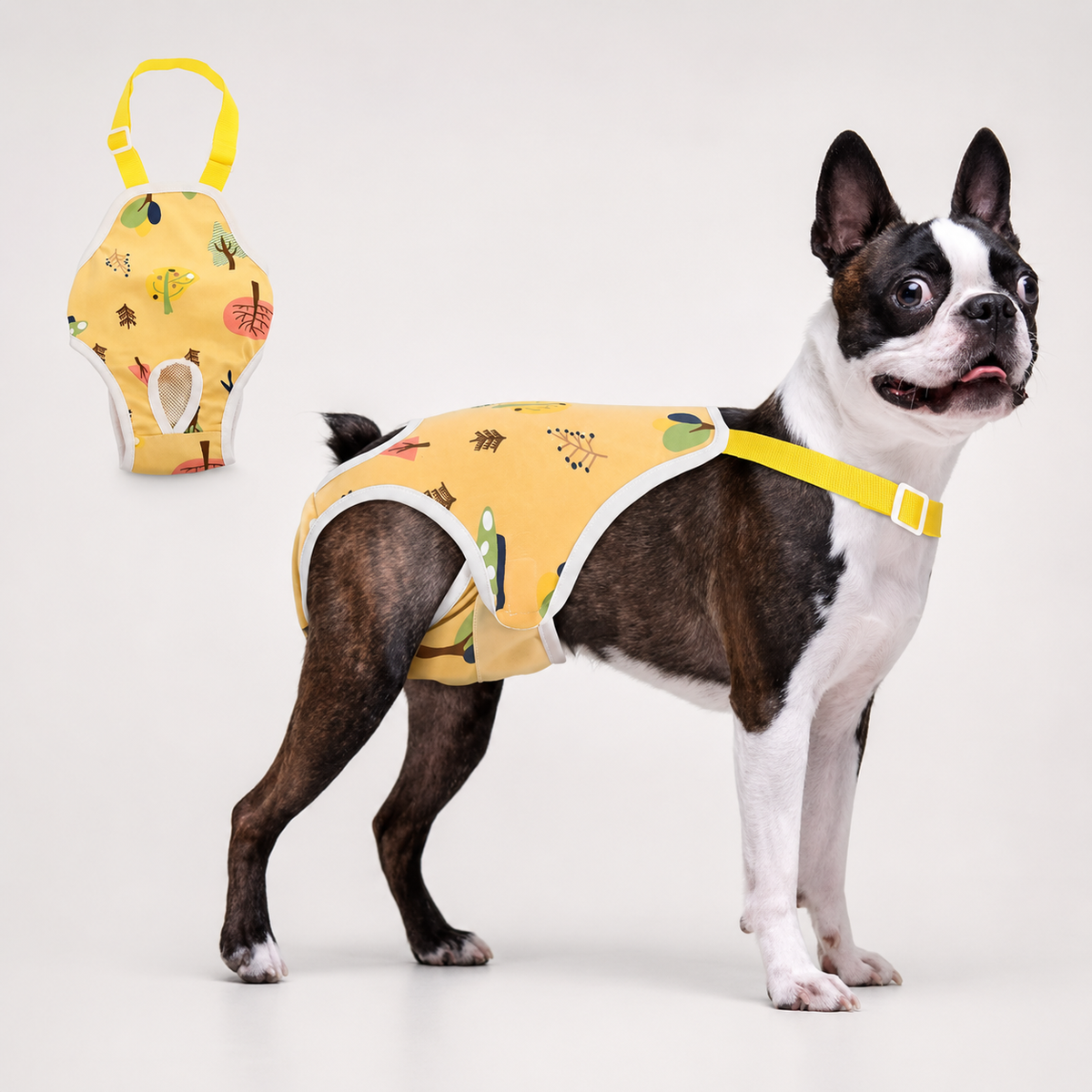 Female dog wearing NightGuard washable protection pants in a comfortable home setting