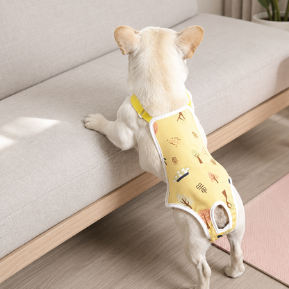 NightGuard dog protection pants worn for added overnight coverage and comfort
