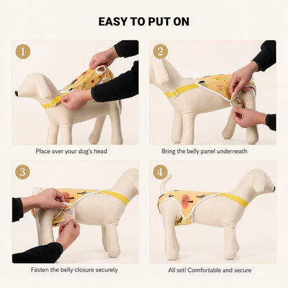 NightGuard dog protection pants size guide for choosing the right fit