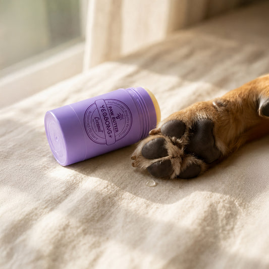 Dog paw care lifestyle image featuring Nourishing Paw Butter for dry paw pads