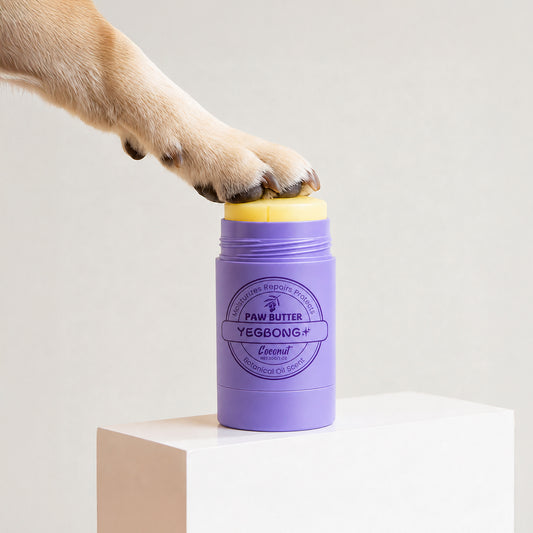 Nourishing Paw Butter twist-up dog paw balm stick for daily paw care