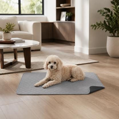 Dog resting at home on a PawGuard reusable waterproof pad for everyday accident protection