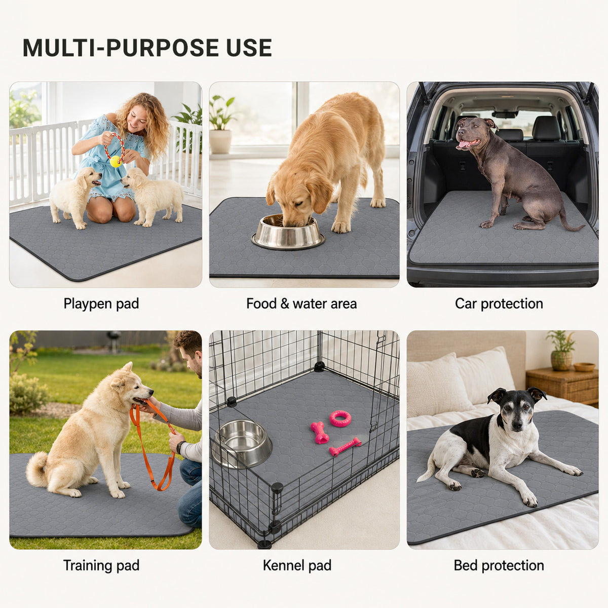 PawGuard washable waterproof dog pad placed inside a dog crate for reusable protection