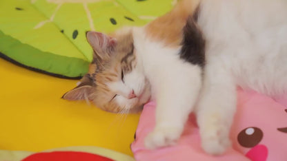 Fruity Nap Pet Mat for Cats & Small Dogs