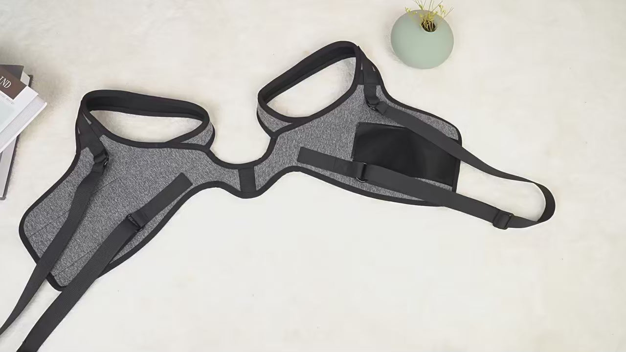 Padded support panel on GentleLift dog mobility harness